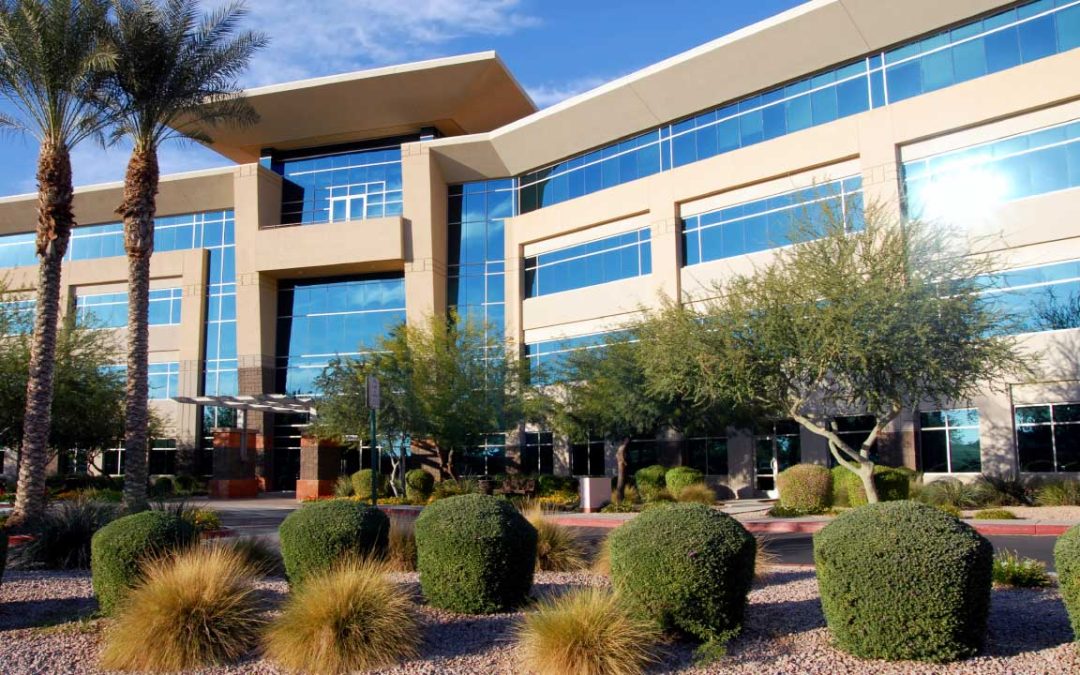 Modern office building with drought tolerant landscaping